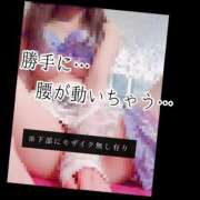 ヒメ日記 2025/03/29 07:45 投稿 もこ 男爵