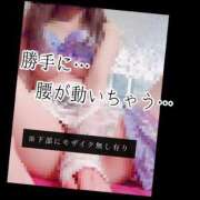 ヒメ日記 2025/03/29 07:53 投稿 もこ 男爵