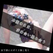 ヒメ日記 2025/03/30 07:53 投稿 もこ 男爵