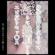 ヒメ日記 2025/03/31 07:45 投稿 もこ 男爵