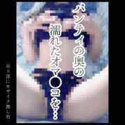 ヒメ日記 2025/04/05 08:03 投稿 もこ 男爵