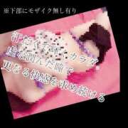 ヒメ日記 2025/05/02 07:53 投稿 もこ 男爵