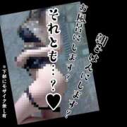 ヒメ日記 2025/05/04 07:53 投稿 もこ 男爵