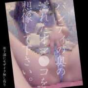 ヒメ日記 2025/05/12 07:53 投稿 もこ 男爵