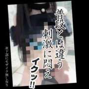 ヒメ日記 2025/05/30 08:03 投稿 もこ 男爵
