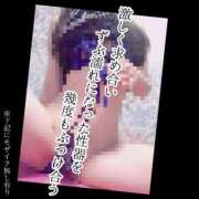 ヒメ日記 2025/06/07 09:04 投稿 もこ 男爵