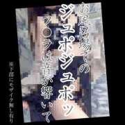 ヒメ日記 2025/06/14 08:53 投稿 もこ 男爵