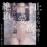 ヒメ日記 2025/06/27 08:53 投稿 もこ 男爵