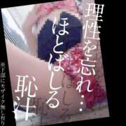 ヒメ日記 2025/09/22 08:58 投稿 もこ 男爵