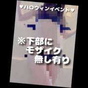 ヒメ日記 2025/10/25 08:53 投稿 もこ 男爵