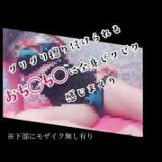 ヒメ日記 2026/01/10 08:53 投稿 もこ 男爵