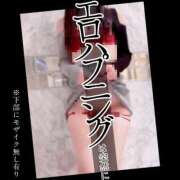 ヒメ日記 2026/02/24 08:53 投稿 もこ 男爵