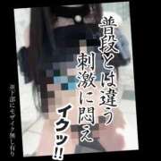 ヒメ日記 2026/02/28 08:53 投稿 もこ 男爵