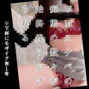 ヒメ日記 2026/03/16 09:23 投稿 もこ 男爵