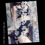 ヒメ日記 2026/03/20 08:53 投稿 もこ 男爵