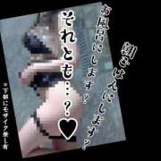 ヒメ日記 2026/05/04 09:23 投稿 もこ 男爵