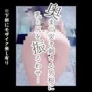 ヒメ日記 2026/05/11 09:23 投稿 もこ 男爵