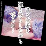 ヒメ日記 2026/05/26 09:23 投稿 もこ 男爵