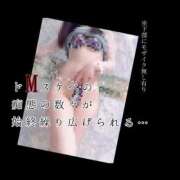 ヒメ日記 2026/05/29 09:33 投稿 もこ 男爵