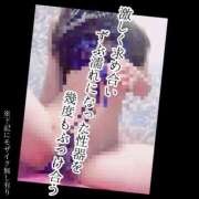 ヒメ日記 2026/06/08 09:33 投稿 もこ 男爵