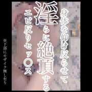 ヒメ日記 2026/06/23 09:23 投稿 もこ 男爵