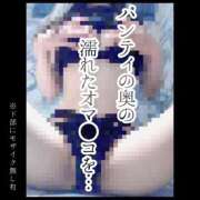 ヒメ日記 2026/06/26 09:23 投稿 もこ 男爵