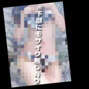ヒメ日記 2026/07/20 09:23 投稿 もこ 男爵