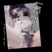 ヒメ日記 2026/09/04 09:23 投稿 もこ 男爵