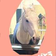 ヒメ日記 2026/04/06 22:20 投稿 かすみ 桃色奥様 松戸本店