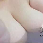 ヒメ日記 2024/12/19 00:54 投稿 れお 巨乳専科パンチラボイン横浜