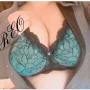 ヒメ日記 2024/12/28 18:09 投稿 れお 巨乳専科パンチラボイン横浜