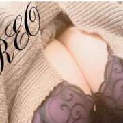 ヒメ日記 2025/01/09 22:56 投稿 れお 巨乳専科パンチラボイン横浜