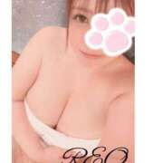 ヒメ日記 2026/06/21 23:39 投稿 れお 巨乳専科パンチラボイン横浜