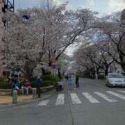 ヒメ日記 2025/04/01 11:52 投稿 さえ 人妻小旅行