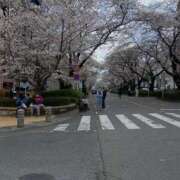 ヒメ日記 2025/04/06 10:02 投稿 さえ 人妻小旅行