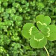 ヒメ日記 2025/02/10 12:01 投稿 まほり 熟女の風俗最終章 本厚木店