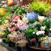 ヒメ日記 2025/04/18 11:11 投稿 まほり 熟女の風俗最終章 本厚木店