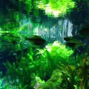 ヒメ日記 2025/04/30 10:01 投稿 まほり 熟女の風俗最終章 本厚木店