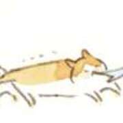 ヒメ日記 2025/06/04 10:58 投稿 まほり 熟女の風俗最終章 本厚木店