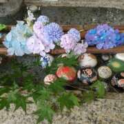 ヒメ日記 2025/06/11 11:10 投稿 まほり 熟女の風俗最終章 本厚木店