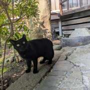 ヒメ日記 2025/08/18 10:59 投稿 まほり 熟女の風俗最終章 本厚木店