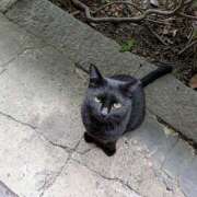 ヒメ日記 2025/09/16 10:57 投稿 まほり 熟女の風俗最終章 本厚木店