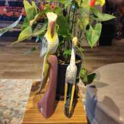 まほり おはようございます 熟女の風俗最終章 本厚木店