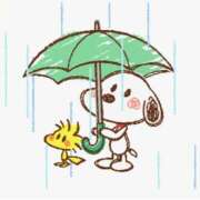 ヒメ日記 2026/02/25 10:21 投稿 まほり 熟女の風俗最終章 本厚木店