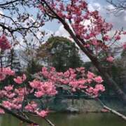 まほり おはようございます 熟女の風俗最終章 本厚木店