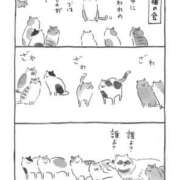 まほり おはようございます 熟女の風俗最終章 本厚木店