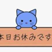 ヒメ日記 2026/09/18 17:30 投稿 じゅん 風俗城