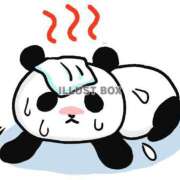 ヒメ日記 2025/05/16 10:12 投稿 つかさ 脱がされたい人妻 宇都宮店