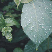 ヒメ日記 2025/10/01 10:04 投稿 つかさ 脱がされたい人妻 宇都宮店