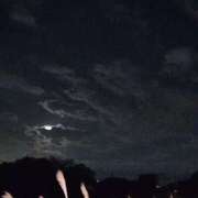 ヒメ日記 2025/11/30 17:05 投稿 つかさ 脱がされたい人妻 宇都宮店